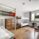 Stara Praga Krokodyl Warsaw Rooms&Dorms-Praga Południe * Warszawa