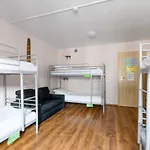 Hostel Stara Praga Krokodyl Warsaw Rooms&Dorms-Praga Południe Warszawa