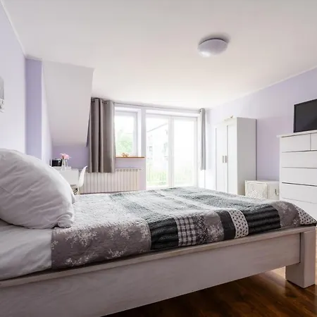 Krokodyl-stara Praga -czapelska 24 *