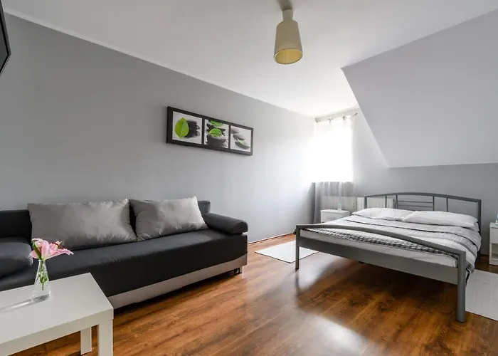 Stara Praga Krokodyl Rooms&dorms